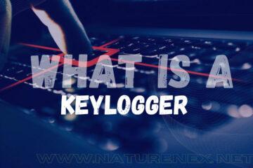 What Are Keyloggers? – How To Detect Them And Everything You Need To Know
