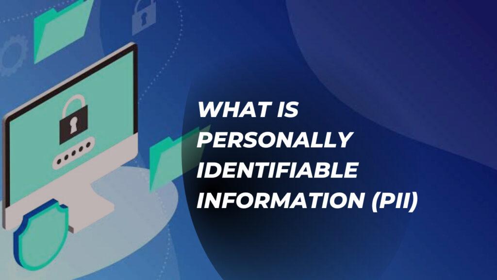 What Is Personally Identifiable Information (PII)? - Everything You Need To Know