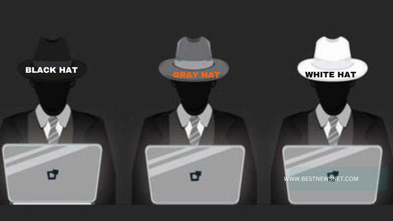 What Is Black Hat, White Hat, Gray Hat Hackers And Others - Naturenex