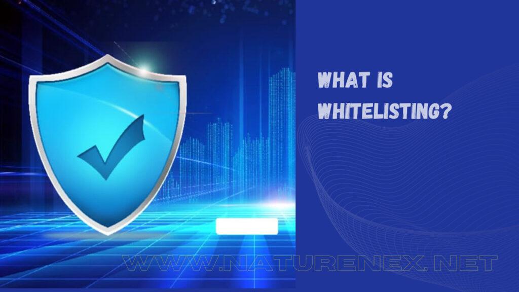 What Is Whitelisting (Allowlisting) - A Comprehensive Guide