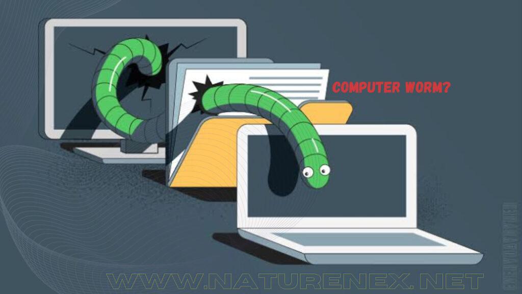 What Is A Computer Worm? – Types, How It Works, And How To Prevent The Infections