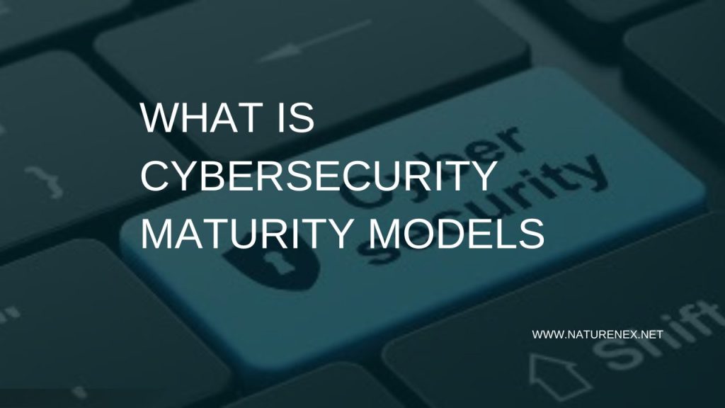 Cybersecurity Maturity Models