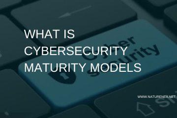 Cybersecurity Maturity Models